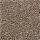 Shaw Floors: Cashmere Classic II Mesquite